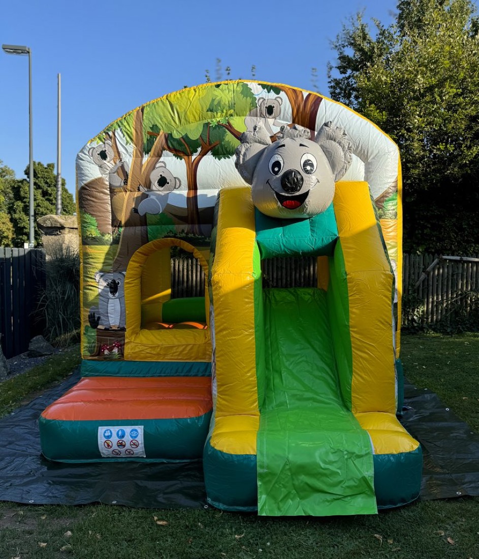 Koala Hüpfburg mit Rutsche als Mietmodul in Feucht und Nürnberg